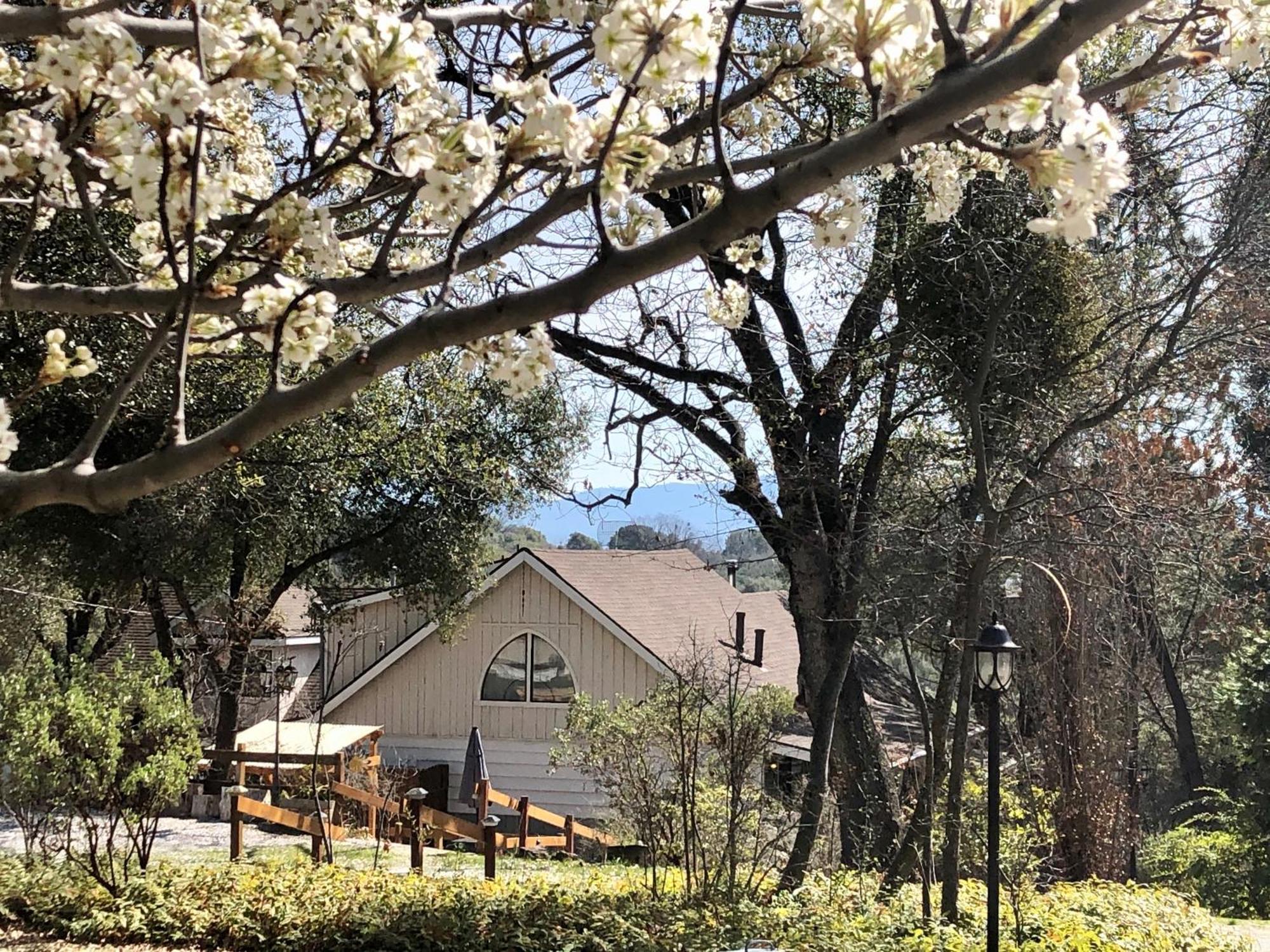 Sierra Mountain Lodge - Vacation Rentals - Yosemite Ahwahnee Extérieur photo